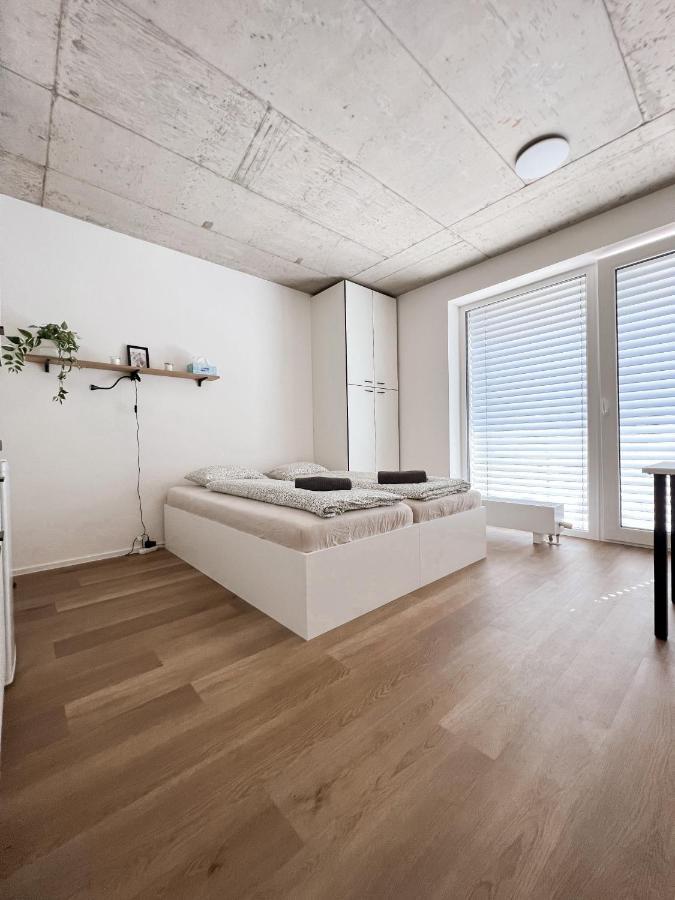 Celestial Apartments Μπρνο Εξωτερικό φωτογραφία